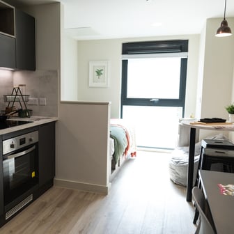 Penthouse Deluxe Studio - Image 1